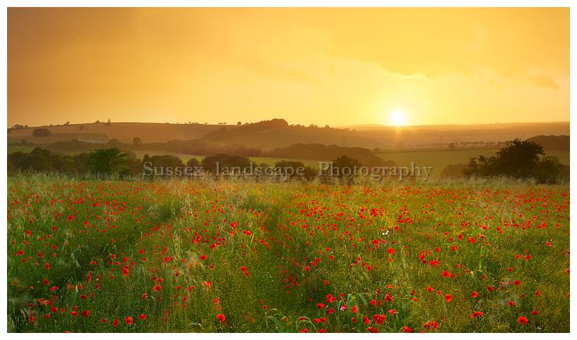 slides/Approaching storm.jpg rain,rainbow,sunset,sunrise,poppies,south downs national park,halnaker windmill,simon parsons,squall,showers, Approaching storm